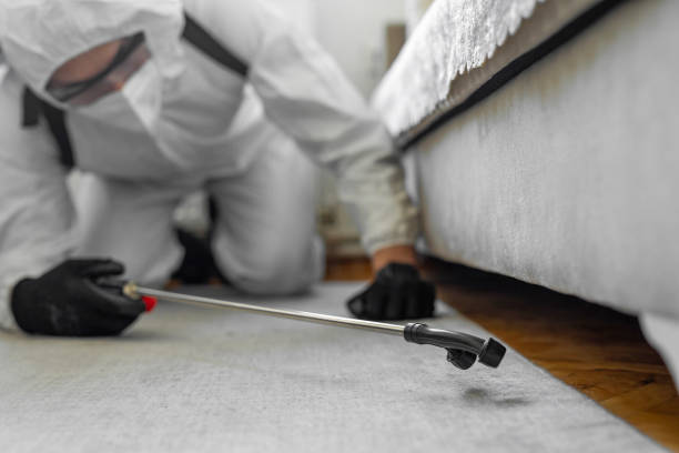 Professional Termite Control technician working in Spring Valley Lake, CA